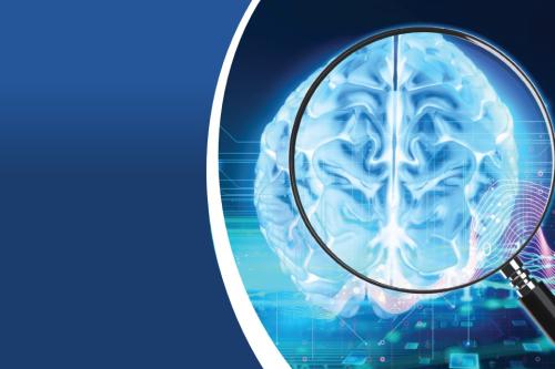 examining a brain